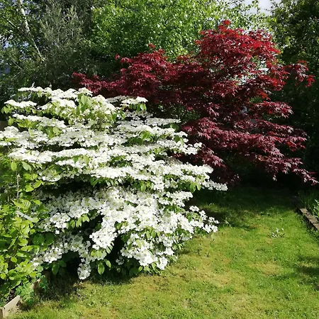 Au Coeur Du Jardin * La Boussac