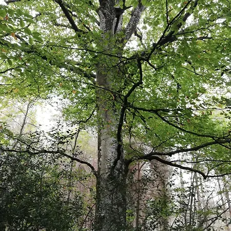Au Coeur Du Jardin Feriehus